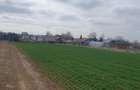 Tâncăbești -Ilfov suprafață 4500 mp - 2
