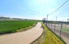 Teren intravilan | Dragomiresti Vale | Sat Zurbaua IF | INVESTITIE - 1