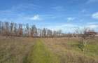 Teren 10.009 mp cu deschidere 70 m — vedere la lac și pădure - 4