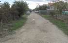 Cornetu - Taberei, Plopului - 8