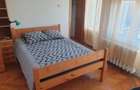 Inchiriere apartament 4 camere in vila in Zorilor- strada Ceahlau - 5