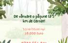 De vânzare o pășune la 5 km de Cernat! - 1