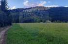 Vanzare Teren 13.650 mp , Suceava / com.Dorna Arini - 3