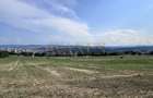 Oportunitate de investiție Teren intravilan, 3150 mp , Panoramic , Dambu Rotund - 4