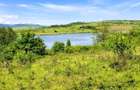 Teren extravilan 3200mp lac Sacel - 5