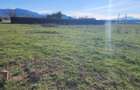 Teren superb de 533mp construibil zona perfecta Brasov - 4