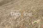Teren 5000 mp, ideal cabana, pensiune,  in zona de interes  turistic  Rucar-Bran - 7