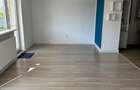 BellaCasa Residence,diferita,complet utilata vila individuala,Sabareni,asfalt - 13