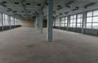 Pantelimon - birouri, depozitare sau industrie usoara - 700-1400 mp - 2