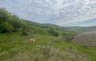 Teren intravilan Corunca – 1000 mp – vedere panoramică 180° + acces pădure – ult - 8