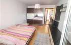 Apartament 2 camere decomandat, etaj intermediar Craiter - 5