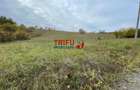 Teren intravilan cu dubla deschidere zona Cetate - 2