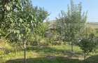 Casă de vânzare, 138 mp, 2.750 mp teren intravilan, zona Nazna - 10
