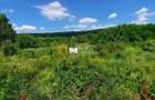 🌳 🌞🌿 TEREN INTRAVILAN  2800 mp - 30 Euro/mp  - RATE LA  NOTARIAT  ! 🌳🌞🌿 - 9