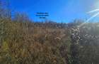 Teren intravilan 2.000 mp – Seciu, 2 deschideri, Priveliște panoramica - 8