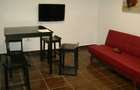 Apartament o camera la vila LUX 370 euro - 12
