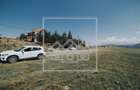 Teren intravilan constructii - 3000 mp - Paltinis - 5
