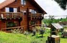 RATE Pensiune 12 cam Superba*** malul Lac Mocearu piscina ,16277mp - 25