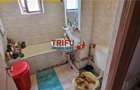 Apartament 2 camere zona Flips - 11