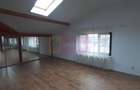 Două vile tip duplex de închiriat - zona Antiaeriană - 17