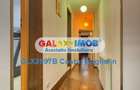 Apartament Premium 5 Camere - Vila Kiseleff   Victoriei - 4