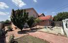 Vila P+1 cu terasă 255 mp + garaj 22,5 mp si teren 417 mp-Berceni ! - 38