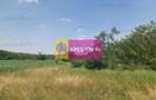 Săbăreni, teren 12620 mp pentru case, lângă pădure - 2