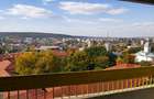 3 camere ultracentral Iași, decomandat, mobilat, 2 băi, 2 balcoane, priveliste - 3