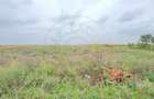 Casa 4 camere, Teren 3.405 mp Loc. Dindestiu Mic Jud. Satu Mare-Comision 0% - 10