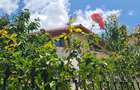 Vila P+1+M zona Militari - Pacii - str. Paralutelor constructie 2007 tip duplex - 1