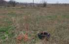 TEREN INTRAVILAN 306 mp – Palazu Mare, Constanta - Ocazie Unica - 4