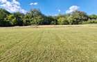 RECO Teren intravilan in Betfia, 1001 mp, front 18.30 ml la asfalt - 2