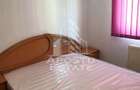 Apartament cu 2 camere de inchiriat in zona Lipovei Timisoara - 3
