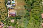 Vila premium Sohodol-Panorama Piatra Craiului - 4