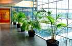 Baneasa Business & Technology Park cladirea A, Baneasa, 350 - 852 mp  0% comision! - 4