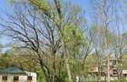 Teren intravilan 1.014 mp | Valu lui Traian | P+4E | Forest M - 2