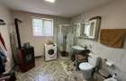 2 Case + teren 1390 mp langa parcul central Provita de Sus - 10