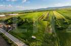 Teren extravilan de vanzare, 9000 mp - Ilieni - 3