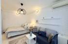 Cozy Studio luminos in Banu Manta - Victoriei cu pat si canapea - 2