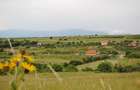 Teren 1,500 mp, vedere panoramica, Sibiu-Daia Noua - 3