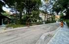 Teren intravilan 438 mp | PUD avizat S+P+2E | Floreasca - 12