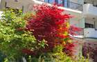 Apartament 2 camere bloc boutique Pipera - 13