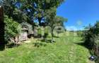 Casa de vanzare in Berinta de 50 mp cu anexa si 22 de ari teren - 10