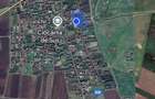 CIOCARLIA DE SUS TEREN INTRAVILAN 123.400 MP PRET 1.480.000 EURO - 2