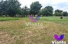 Teren intravilat| Zona rezidentila 1156 mp-TURNISOR - 1