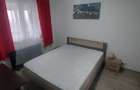 DRISTOR | 2 CAMERE | METROU | AC | SPATII VERZI | PET FRIENDLY - 3
