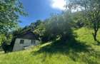 Casa de vacanta 98 mp| 25.000 mp teren| zona Valea Vintului - 6