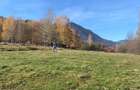 Teren 1000 mp intravilan, Tohanita, jud. Brasov - 2