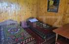 Livada de vanzare, 16.000 mp, zona Hodac