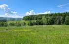 Teren Brasov , Dumbravita ,intravilan 680 mp pretabil casa sau casa de vacanta - 1